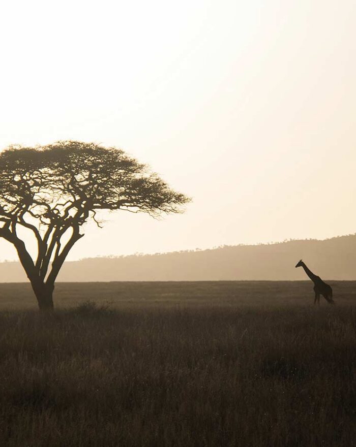 1. Stuck in the middle